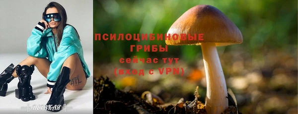 гашик Волоколамск