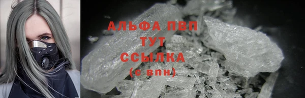 гашик Бородино