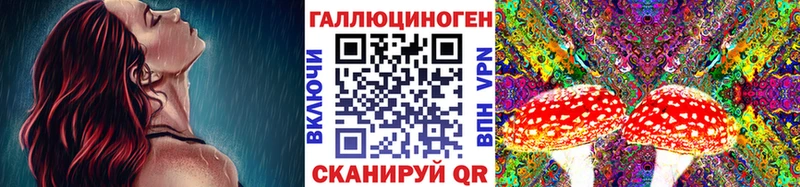 Галлюциногенные грибы прущие грибы  Владимир 